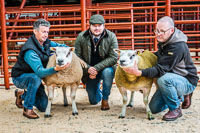 Longtown Ram Fair-08